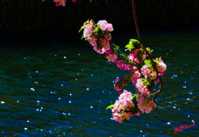 北京海棠花溪随拍