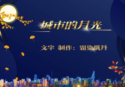 城市的月光