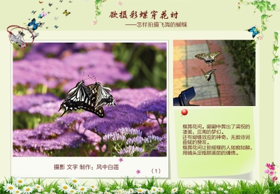 欲摄蝴蝶穿花时