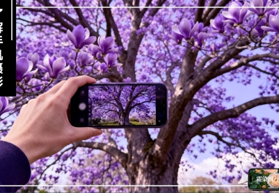 手机摄影的构图