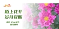 陌上花开 岁月安暖
