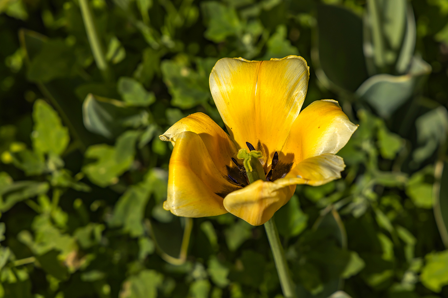 688A8243.jpg