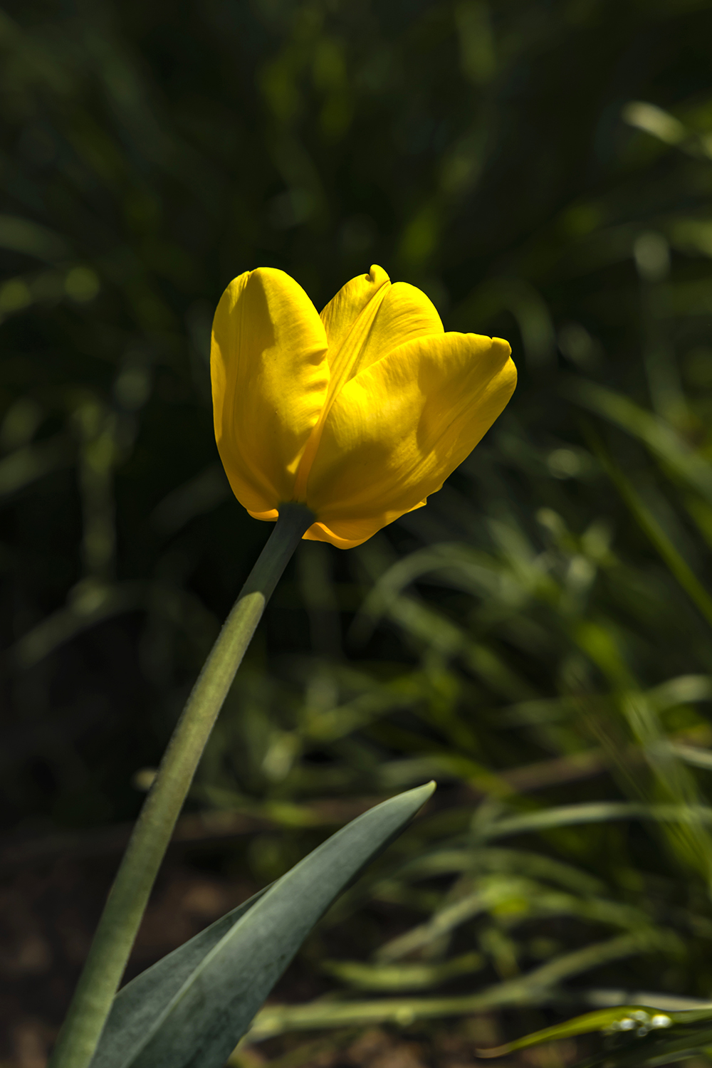 688A8257.jpg