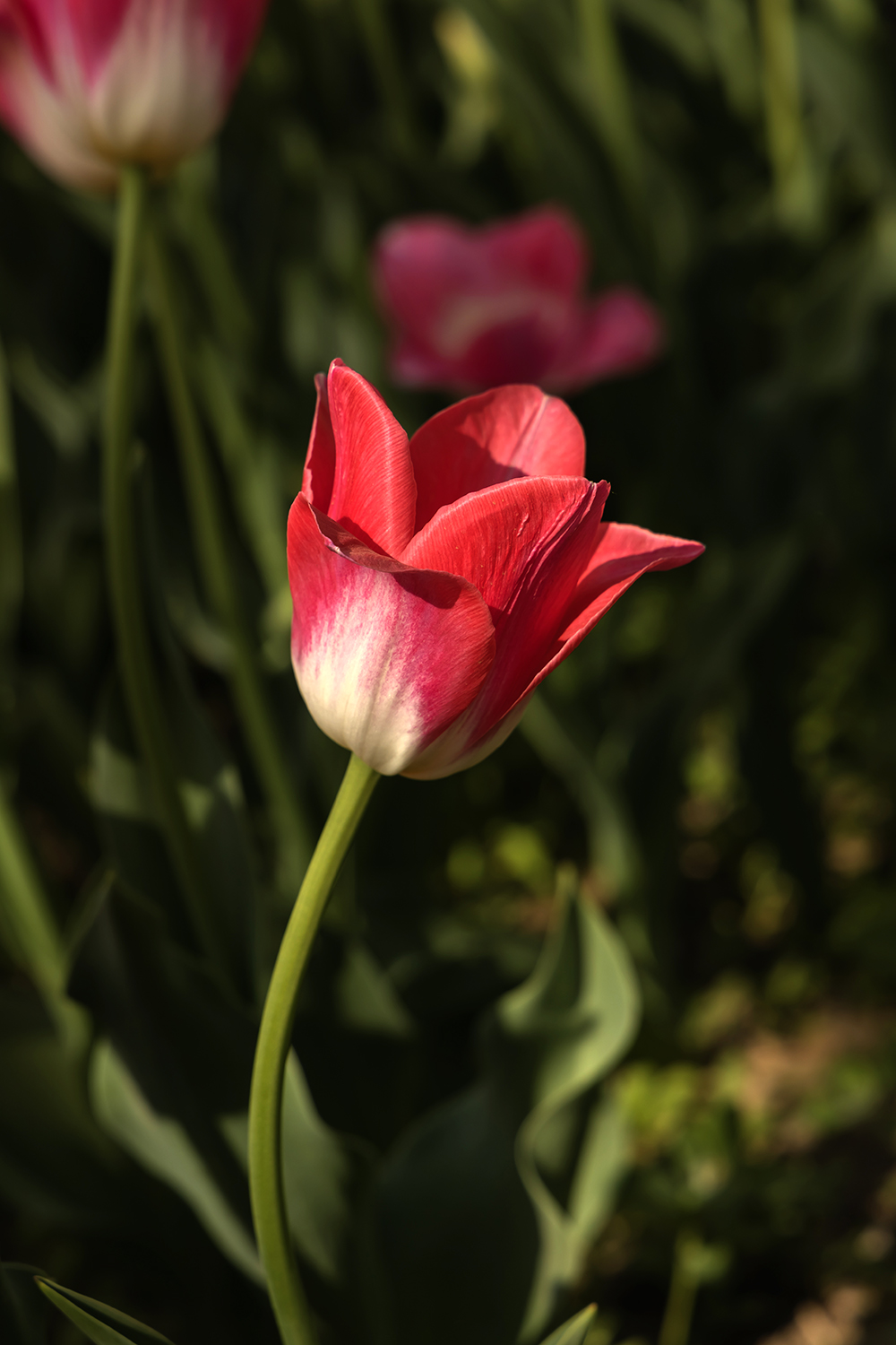 688A8291.jpg