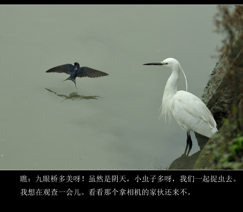 未标题-6.jpg