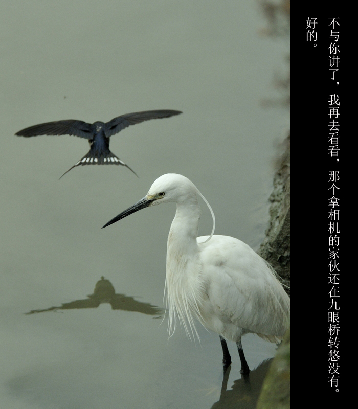 未标题-10.jpg