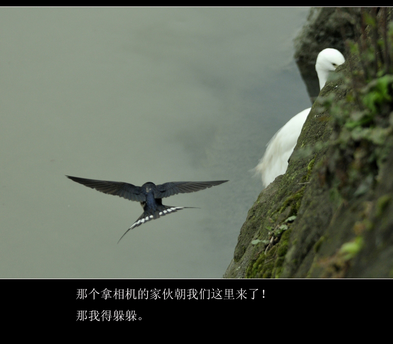 未标题-11.jpg