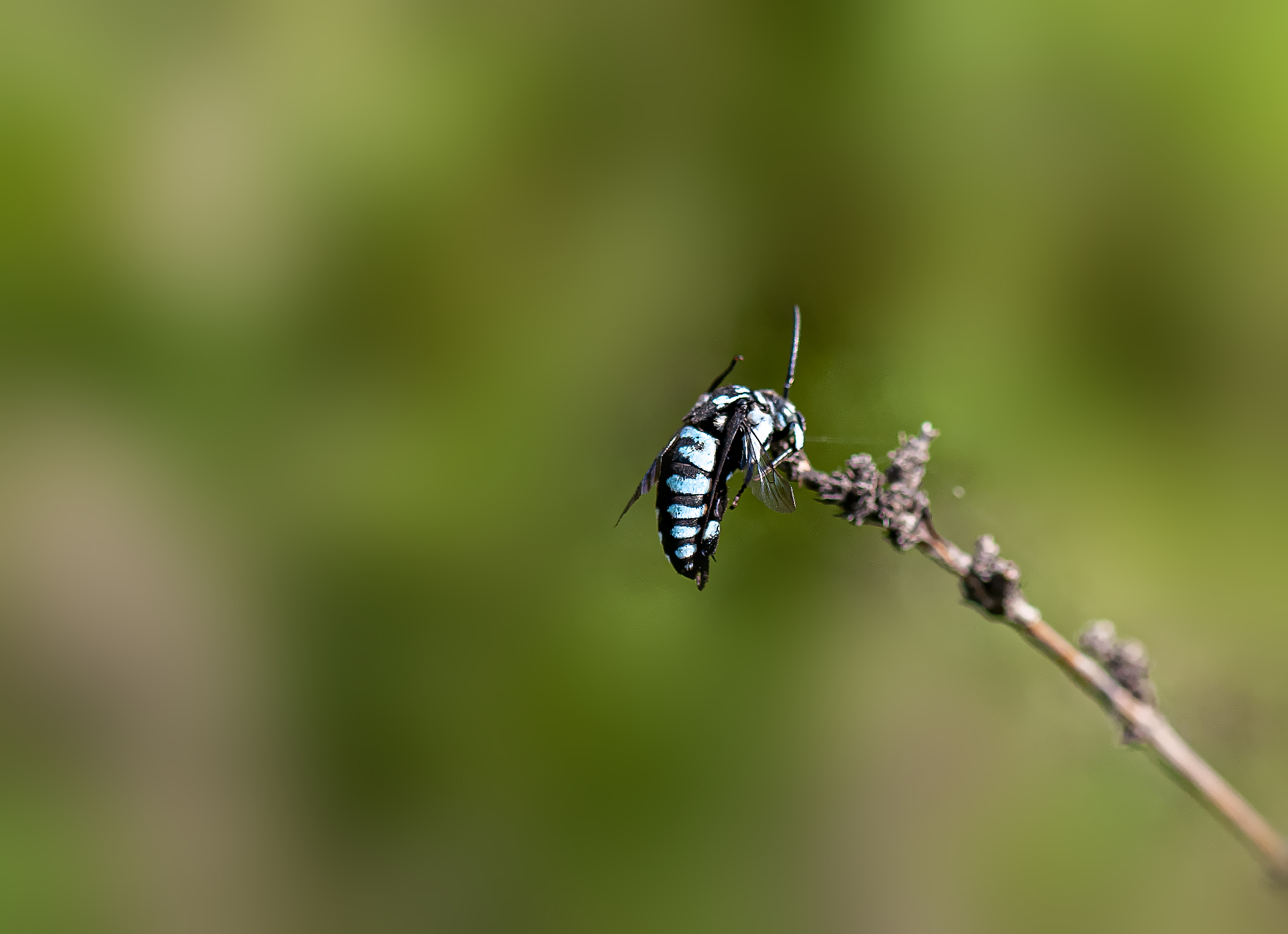 _DSC5644.jpg