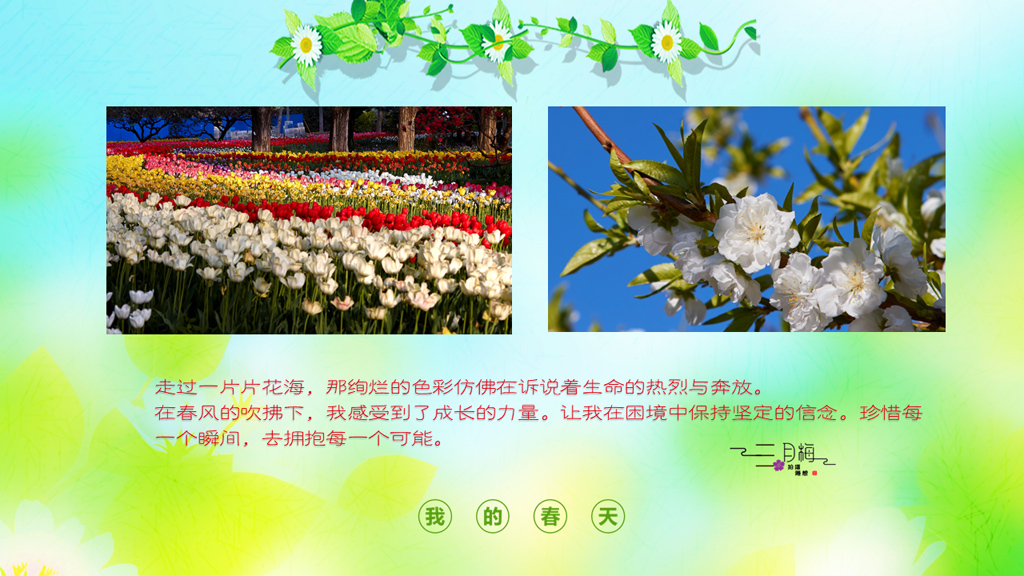 幻灯片4.jpg