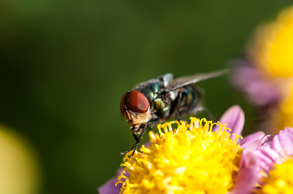 DSC_5775.jpg