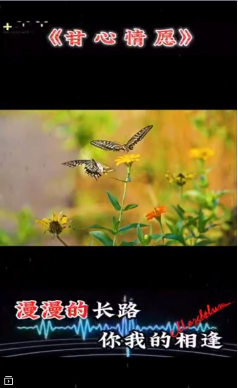 捕获6.JPG
