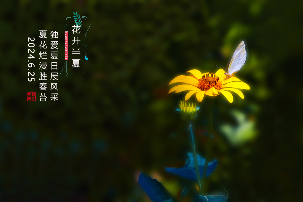 banxia1.jpg