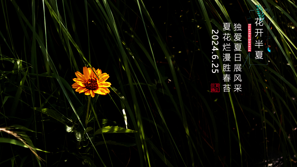 banxia11.jpg