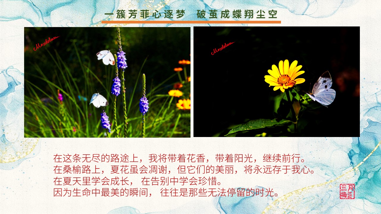 幻灯片4.JPG