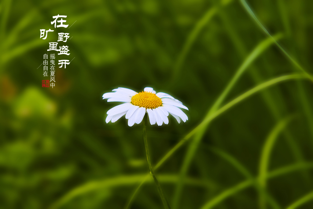 大通公园 76.jpg