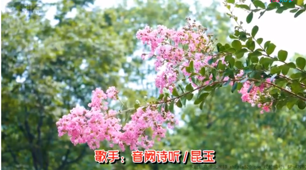 截图20240807200642.jpg