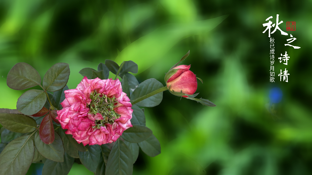 IMG_E5597.jpg