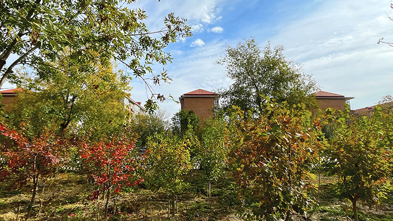 IMG_E7242.jpg