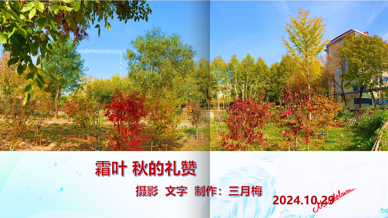 幻灯片1.JPG