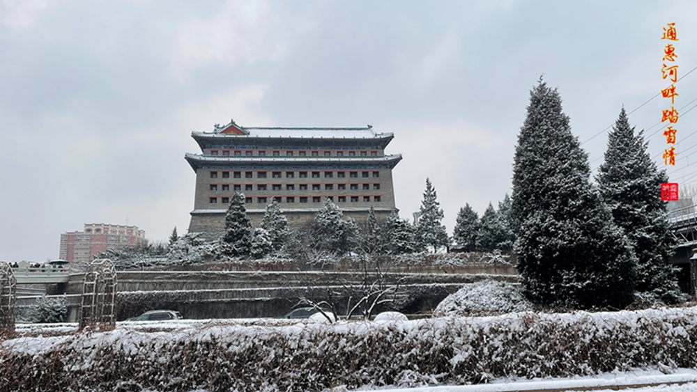 2022春雪_7 拷贝.jpg