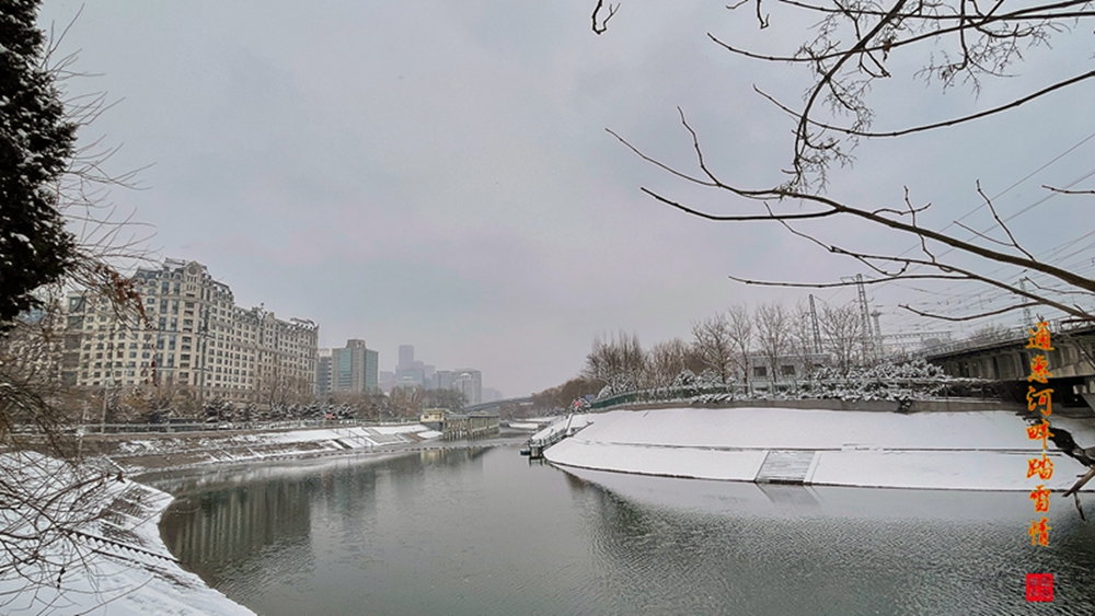2022春雪_73.jpg