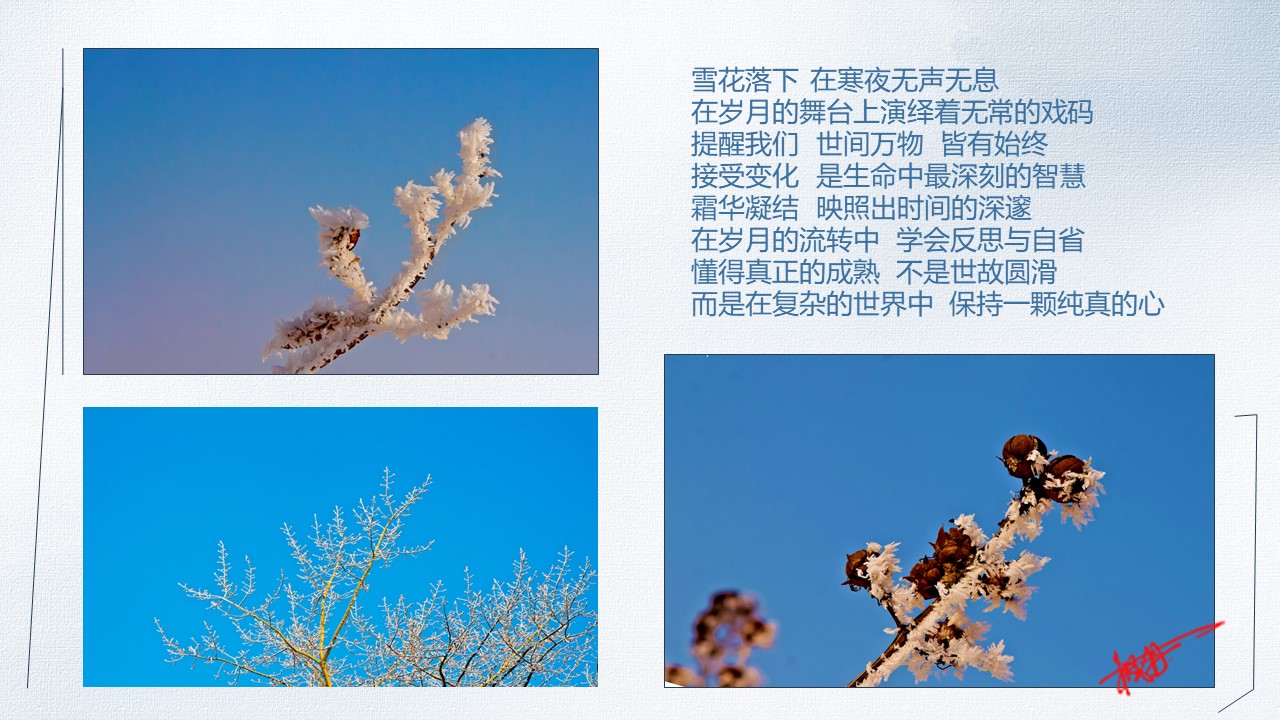 幻灯片5.JPG