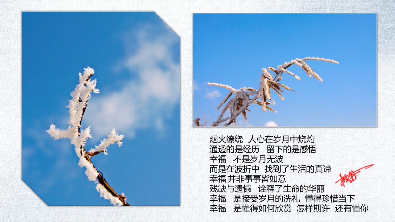幻灯片7.JPG