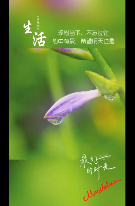截图20250116221817.png