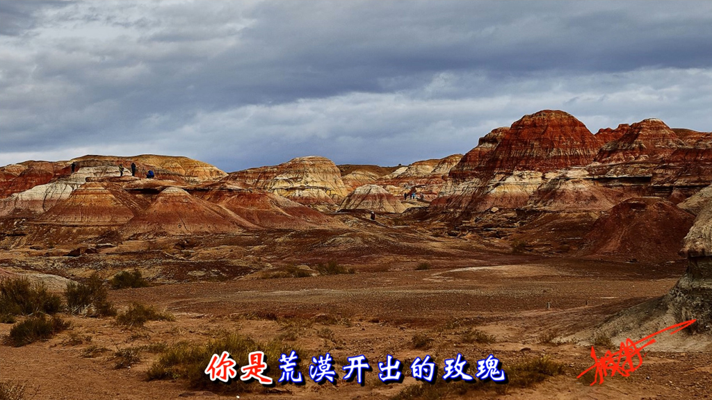 无标题.jpg