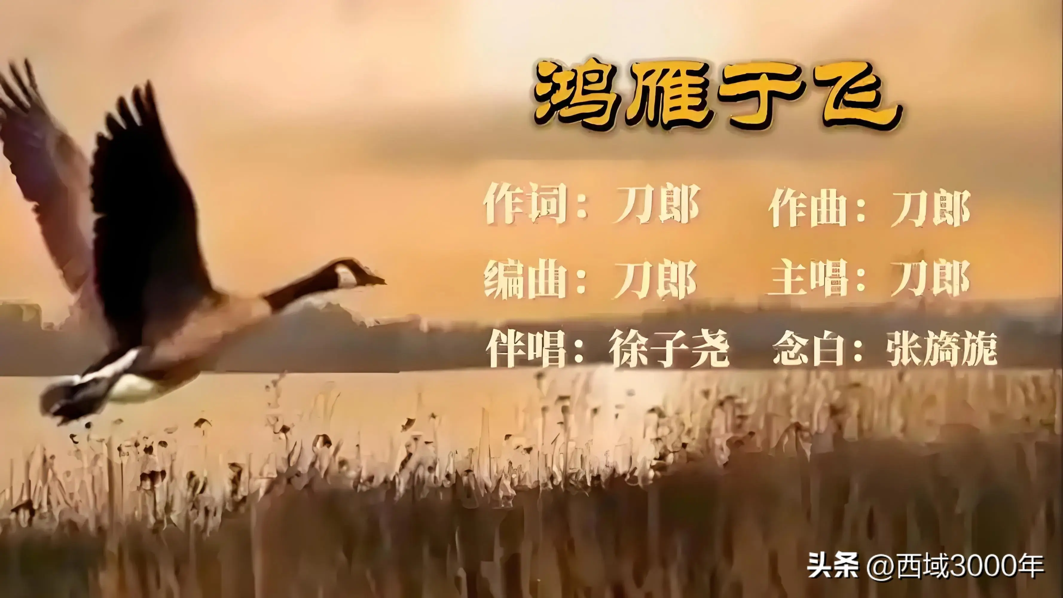 705995c0499b437491ef184fa3734db3.webp