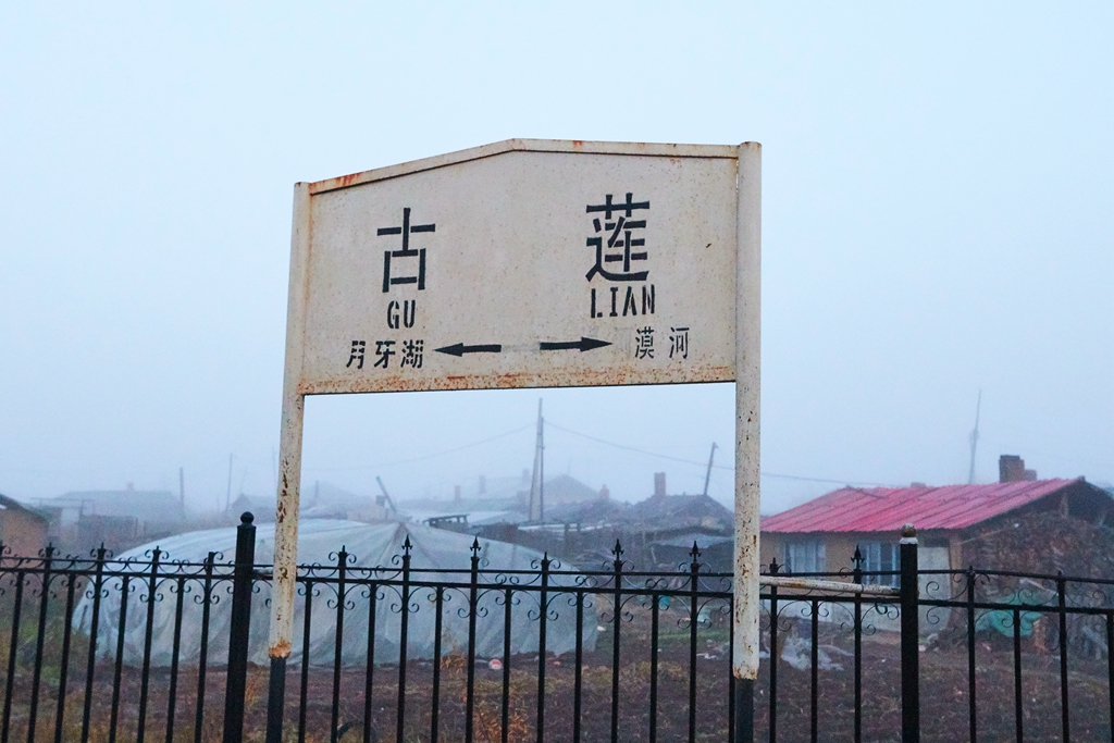 采摘蓝莓红豆 91.jpg