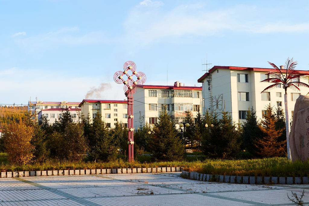 古莲 10.jpg