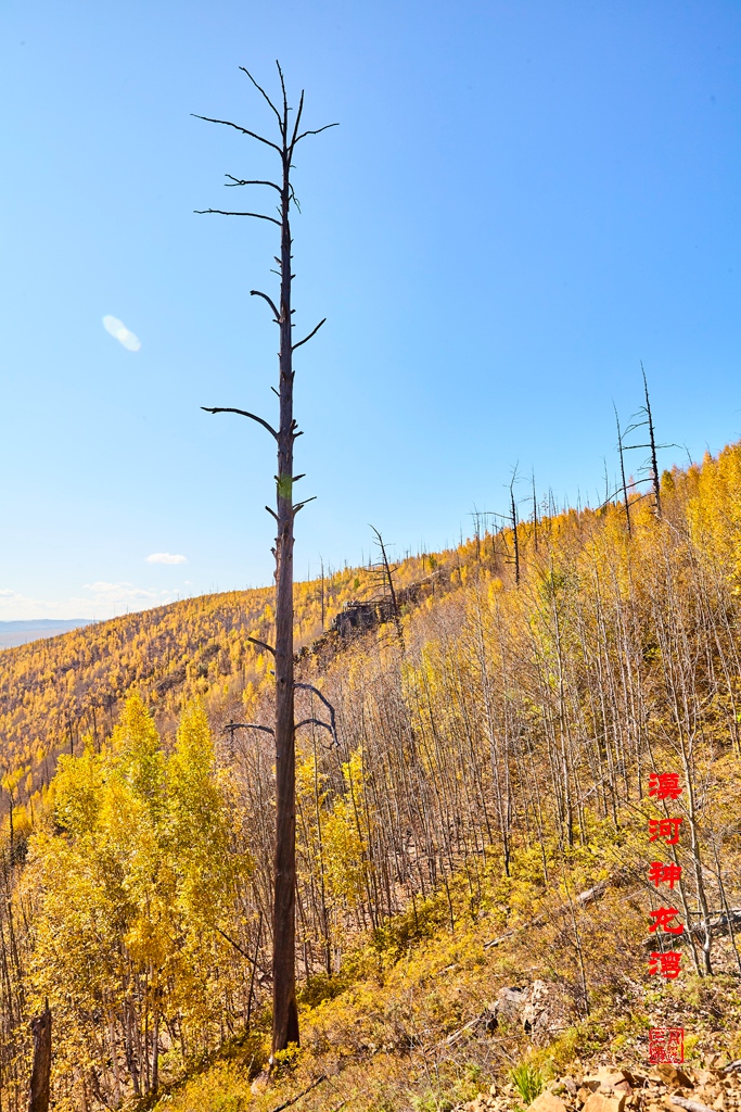 加格达奇 192.jpg