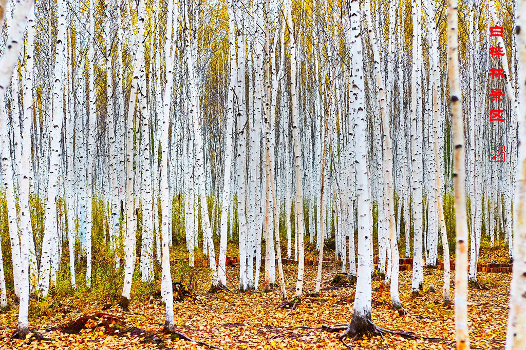 九曲十八弯sd卡 80.jpg