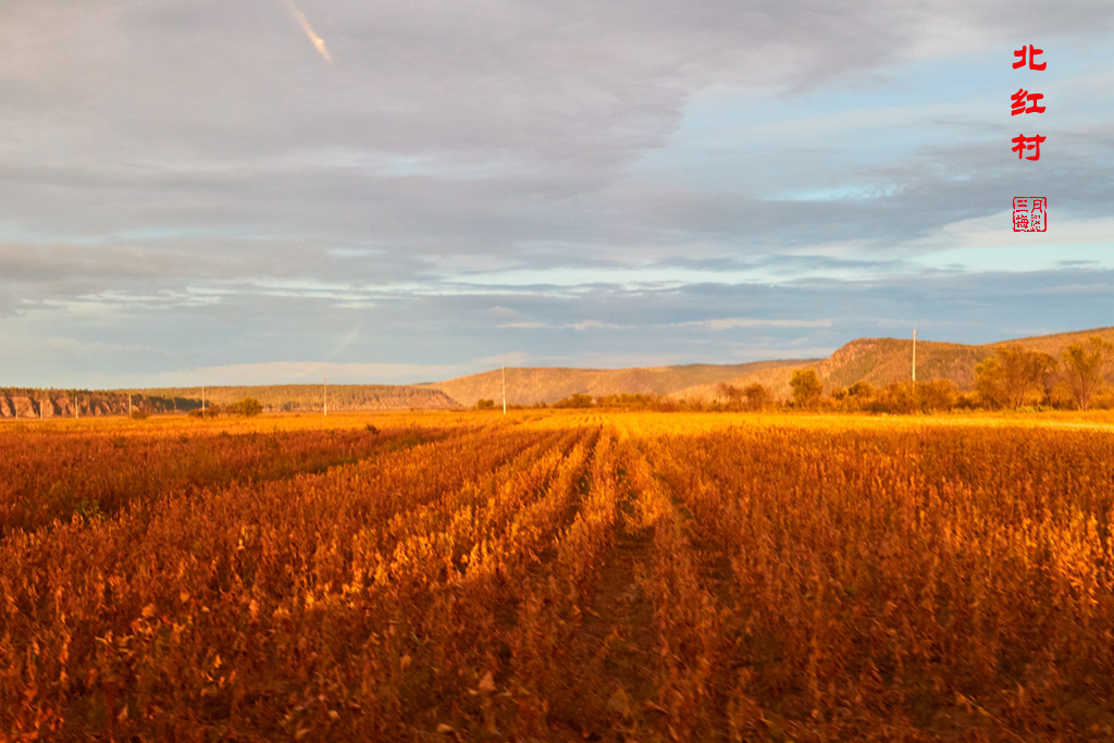 九曲十八弯sd卡 103.jpg