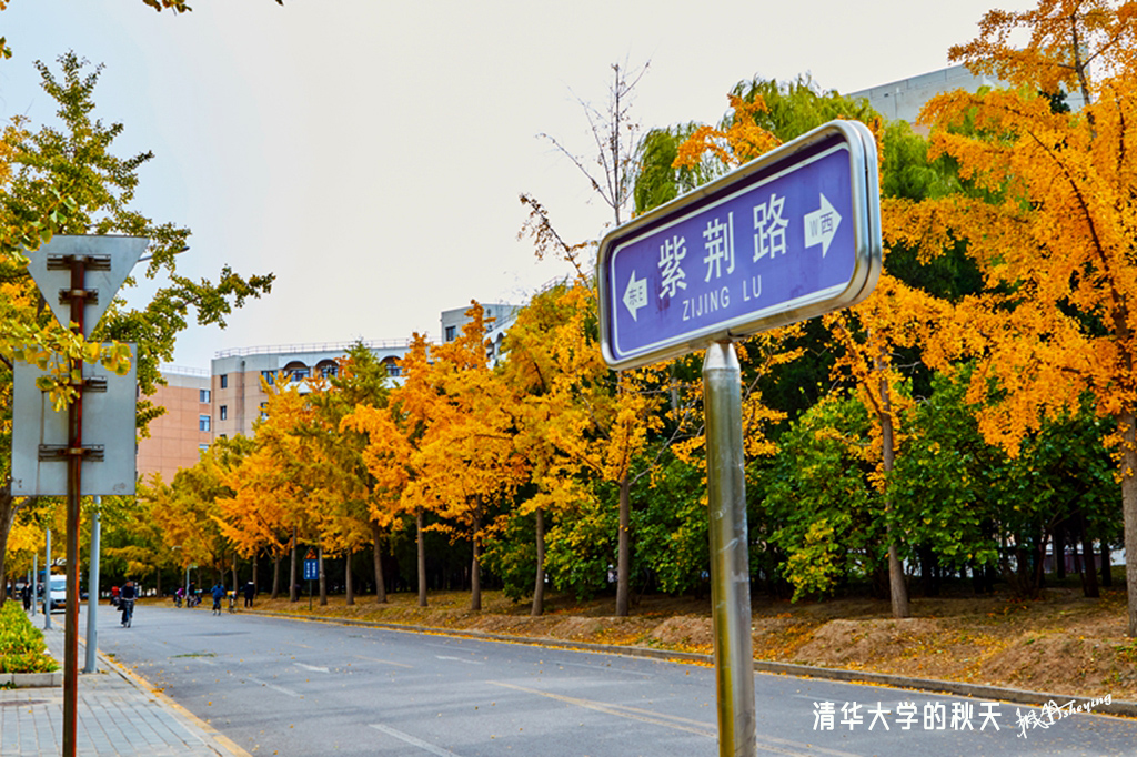 北京之秋2018二集 4.jpg