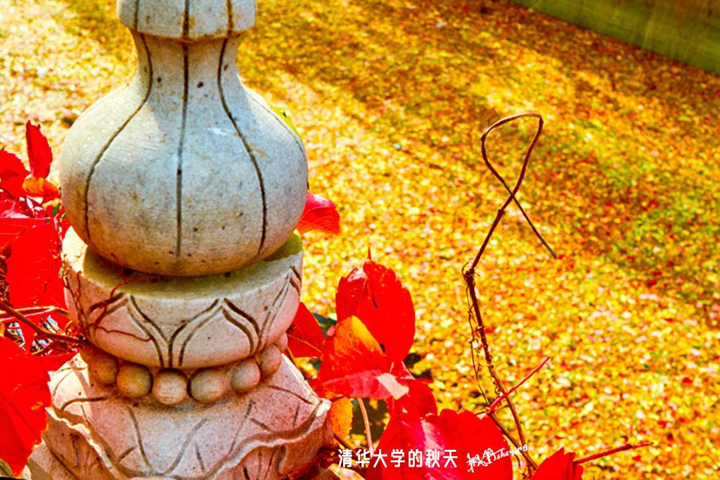 北京之秋2018二集 10.jpg