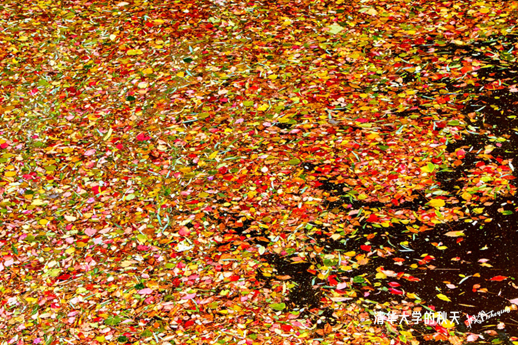 北京之秋2018二集 8.jpg