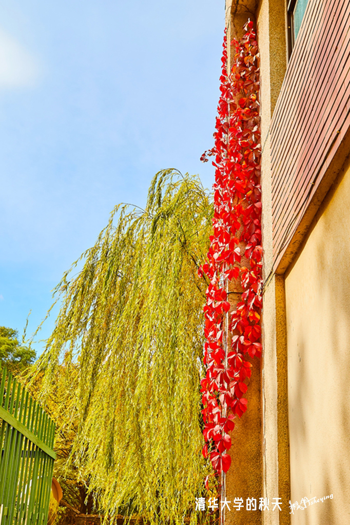 北京之秋2018二集 22.jpg