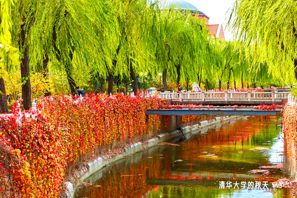 北京之秋2018二集 39.jpg