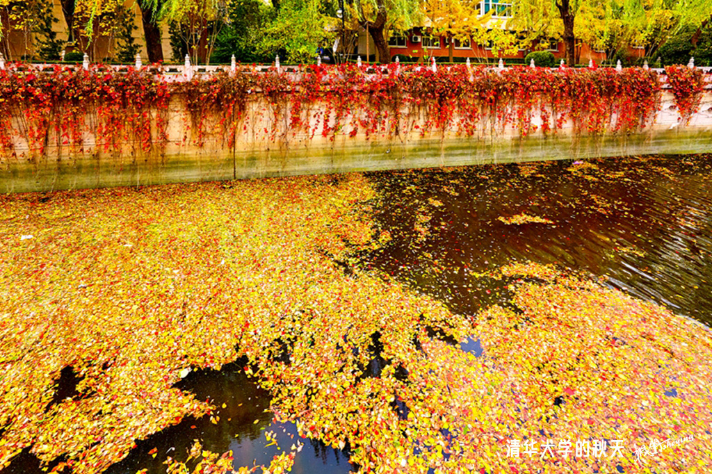 清华2018秋 6.2.jpg