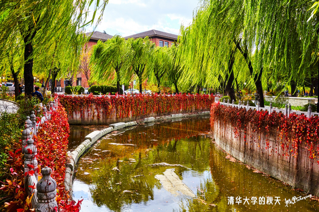 清华2018秋 28.jpg