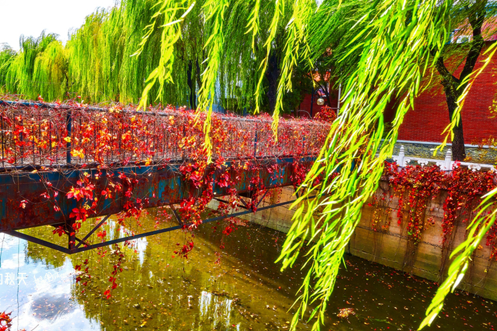 清华2018秋 23.jpg