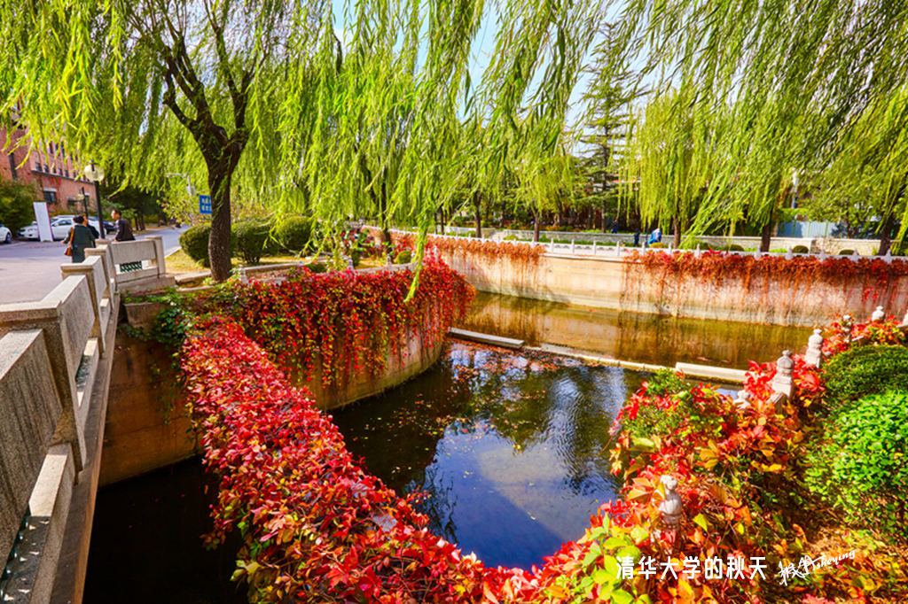 清华2018秋 32.jpg