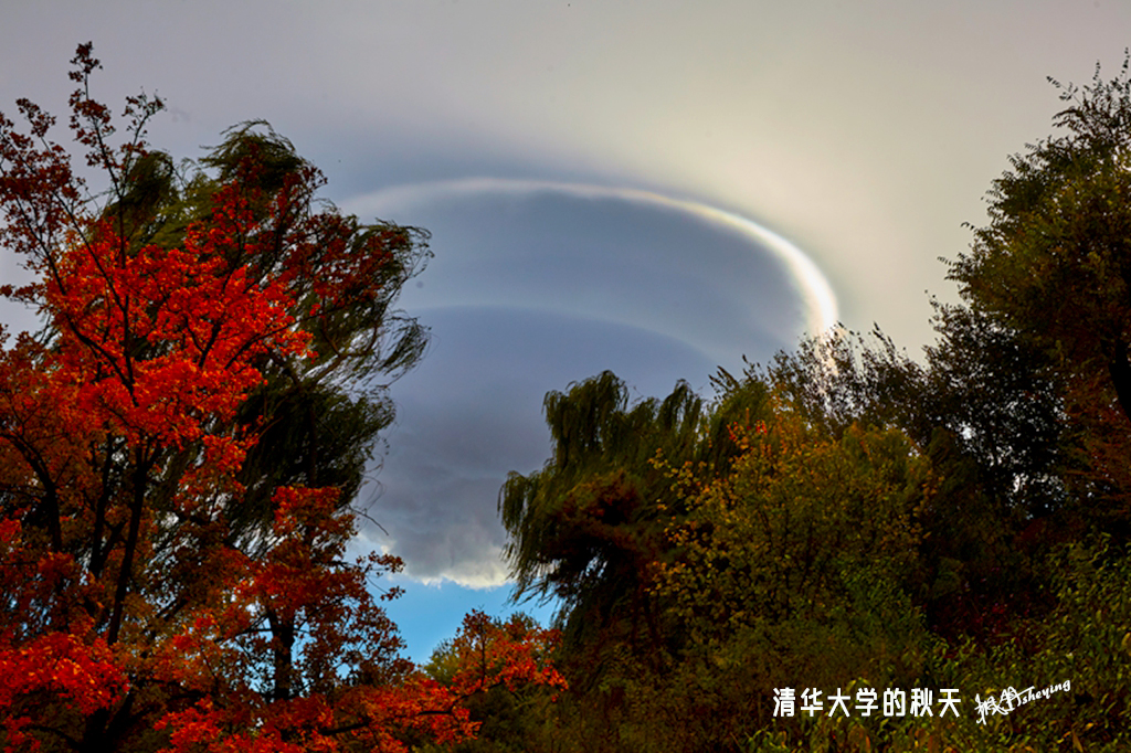 清华2018秋 52.jpg