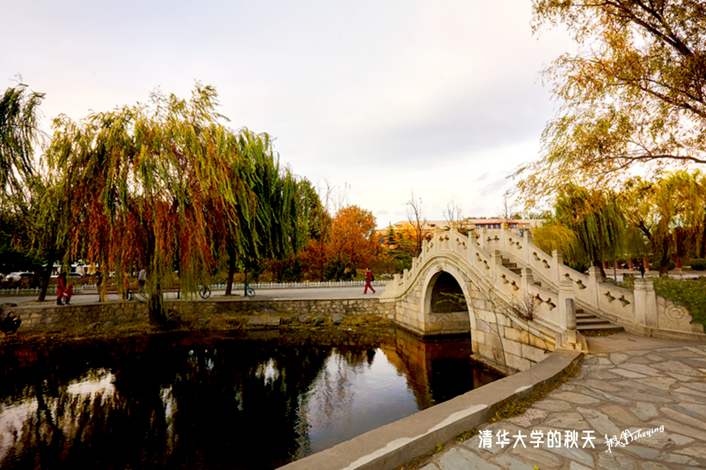 清华2018秋 62.jpg