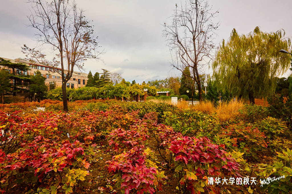 清华2018秋 64.jpg