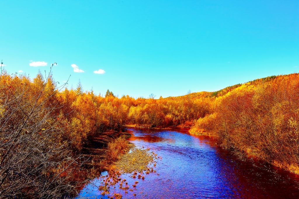 去满归路上_102 1.jpg