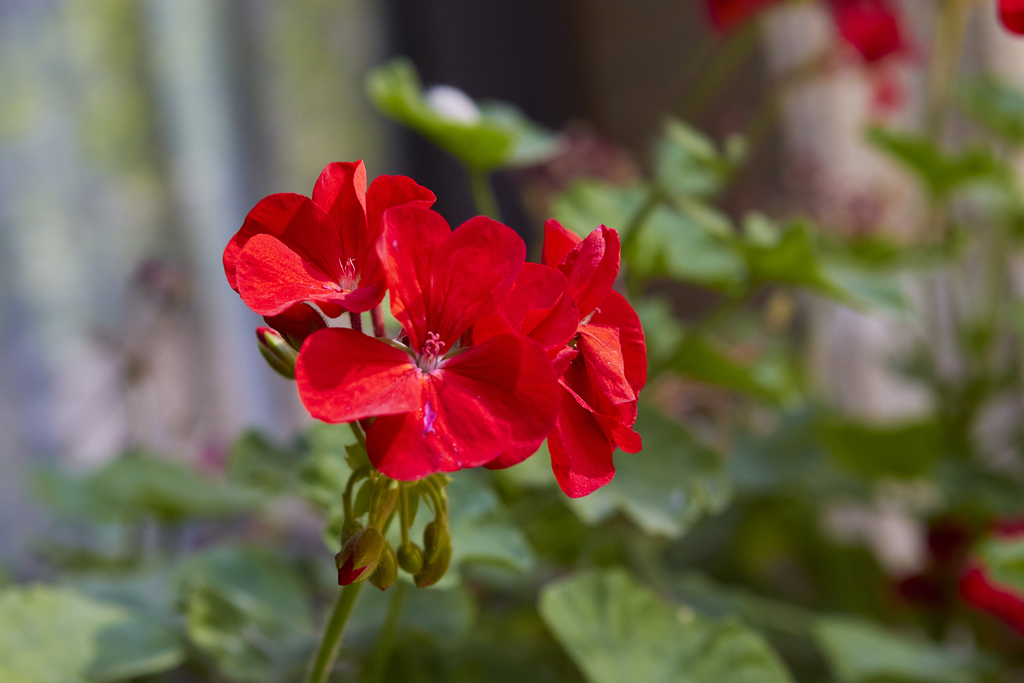 龙潭湖2025 24.jpg