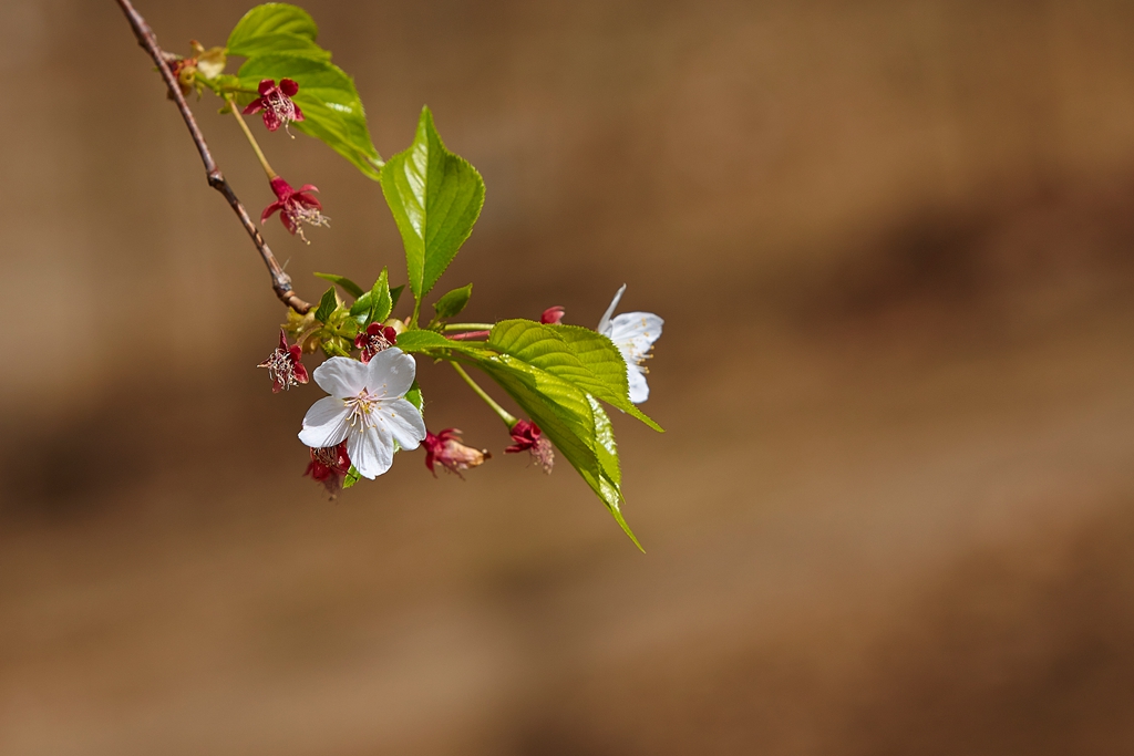 玉渊潭2 (59) .jpg